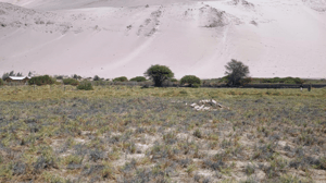 parcel-de-13800-mt2-valle-de-lluta-huanta-1