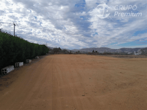 -5