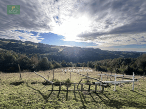 propiedad-agricola-de-7-hectaras-en-fresia-1