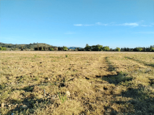 campo-33,5-ha,-plano,-buen-acceso,-san-clement-1
