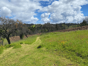 vive-en-un-lugar-previligiado-de-chillan-1