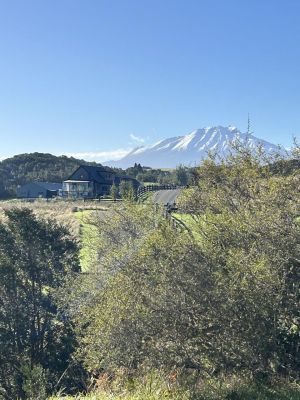 parcela-con-vista-a-volcanes-y-lago-en-sector-l-1