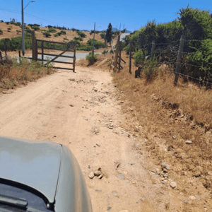 linda-parcela-semi-plana-los-laureles-limache-1