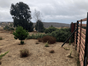 terreno-plano-arrayan-costero-con-vista-al-mar-1