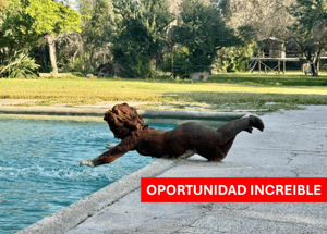 tu-refugio-sonado-en-el-campo,-a-solo-40-minuto-1