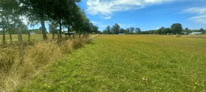 terreno-agricola-en-venta-rio-bueno,-sector-hu-1