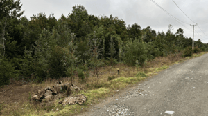 venta-parcela-colonia-tres-puntes-1