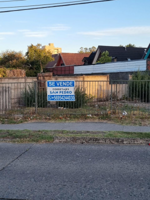 en-venta-terreno-sector-rotonda-san-pedro-de-la-1