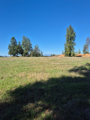 -3