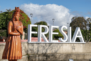 parcela-en-fresia-los-lagos-(76488)-1