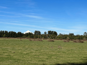 parcelas-en-osorno-puyehue-(72509)-1