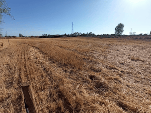 terreno-agricola,-propiedad-de-39,7-ha-con-agua-1