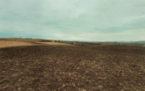 gran-campo-para-inversion-agricola-1