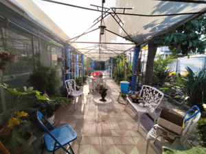 venta-casa-con-potencial-en-cruz-almeyda-1