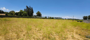 parcela-5000m2-en-graneros-en-venta-1