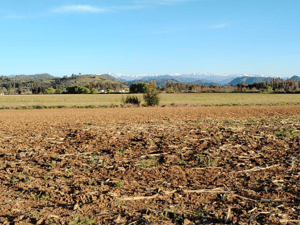 Terreno en San Clemente - 33,5 HA APROVECHABLES, PLANO, AGUA, SAN CLEMEN...-3 Terreno en San Clemente - 33,5 HA APROVECHABLES, PLANO, AGUA, SAN CLEMEN...-3
