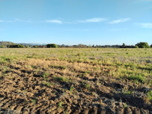 Terreno en San Clemente - 33,5 HA APROVECHABLES, PLANO, AGUA, SAN CLEMEN...-5 Terreno en San Clemente - 33,5 HA APROVECHABLES, PLANO, AGUA, SAN CLEMEN...-5