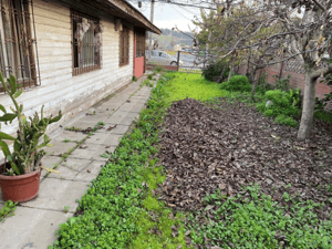 propiedad-en-venta-con-amplio-terreno,-san-juan-1