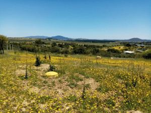 parcela-de-5000-m2-hacienda-los-corrales-san-ni-1