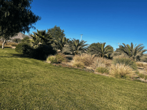 Parcela de Agrado en Copiapó - GRAN OPORTUNIDAD DE INVERSIÓN, FACTIBILIDAD DE ...-5 Parcela de Agrado en Copiapó - GRAN OPORTUNIDAD DE INVERSIÓN, FACTIBILIDAD DE ...-5