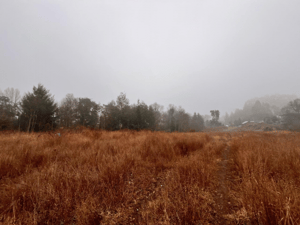 amplio-terreno-urbano-para-inversion-1