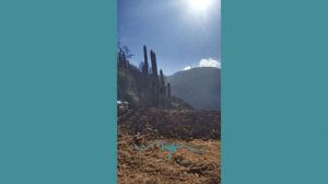 Terreno en La Cruz - 292 HECTAREAS CORDON ALTO EL FRANCES LA CRUZ-3 Terreno en La Cruz - 292 HECTAREAS CORDON ALTO EL FRANCES LA CRUZ-3