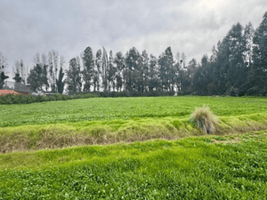 parcela-en-exclusivo-condominio-calera-de-tango-1