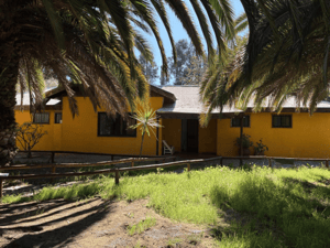 en-venta-hermosa-parcela,-dos-casas-1