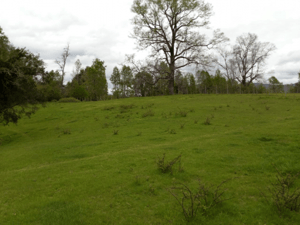 parcelas-privadas-y-seguras-5000mts-1