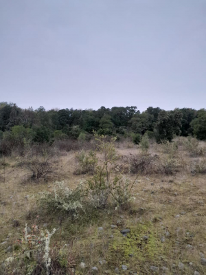 -5