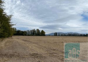Terreno en San Fernando - SECTOR CLUB DE CAMPO, PEDEHUE, HERMOSO LOTEO PR...-2 Terreno en San Fernando - SECTOR CLUB DE CAMPO, PEDEHUE, HERMOSO LOTEO PR...-2