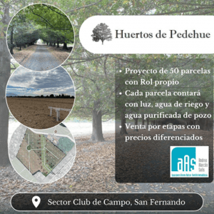 Terreno en San Fernando - SECTOR CLUB DE CAMPO, PEDEHUE, HERMOSO LOTEO PR...-4 Terreno en San Fernando - SECTOR CLUB DE CAMPO, PEDEHUE, HERMOSO LOTEO PR...-4