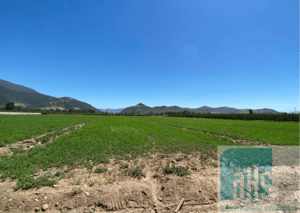 Terreno en San Fernando - PARCELAS DE AGRADO SECTOR VIÑA CASA SILVA SAN F...-2 Terreno en San Fernando - PARCELAS DE AGRADO SECTOR VIÑA CASA SILVA SAN F...-2