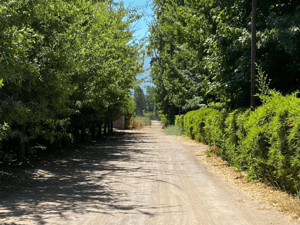 Terreno en San Fernando - PARCELAS DE AGRADO SECTOR VIÑA CASA SILVA SAN F...-5 Terreno en San Fernando - PARCELAS DE AGRADO SECTOR VIÑA CASA SILVA SAN F...-5