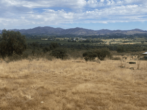 Parcela de Agrado en Las Cabras - GRAN OPORTUNIDAD, TU PARCELA PUEDE SER REALIDAD-2 Parcela de Agrado en Las Cabras - GRAN OPORTUNIDAD, TU PARCELA PUEDE SER REALIDAD-2