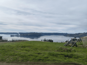 media-hectarea-con-vista-a-la-bahia-de-rauco,-c-1