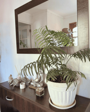 Casa en Maipú - VENTA CASA 4D 3B ACCESO AUTOPISTA MAIPÚ-2 Casa en Maipú - VENTA CASA 4D 3B ACCESO AUTOPISTA MAIPÚ-2