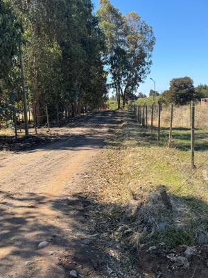 Parcela de Agrado en Río Claro - PARCELA DE 5500MT2, SECTOR LOS MAQUIS, SAN RAFA...-2 Parcela de Agrado en Río Claro - PARCELA DE 5500MT2, SECTOR LOS MAQUIS, SAN RAFA...-2