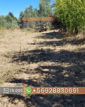 -5