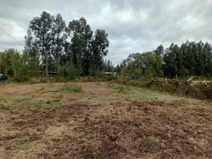 parcela-de-6860mt2-de-superficie,-cerrillo-basc-1