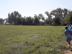 Parcela de Agrado en Talca - PARCELA 20000 M2 SAN RAFAEL, TALCA-2 Parcela de Agrado en Talca - PARCELA 20000 M2 SAN RAFAEL, TALCA-2