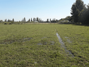 Parcela de Agrado en Talca - PARCELA 20000 M2 SAN RAFAEL, TALCA-3 Parcela de Agrado en Talca - PARCELA 20000 M2 SAN RAFAEL, TALCA-3