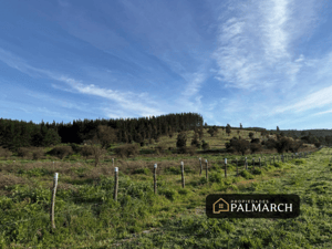 parcelas-en-venta-en-ninhue-region-de-nuble-1