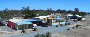 Parcela de Agrado en Pozo Almonte - PARCELA 5,000 M2 CON 3 CASAS Y LOCAL EN LA TIRANA-3 Parcela de Agrado en Pozo Almonte - PARCELA 5,000 M2 CON 3 CASAS Y LOCAL EN LA TIRANA-3