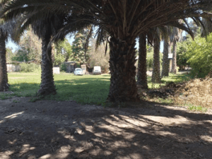 sitio-urbano-en-buin-para-desarrollo-de-proyect-1