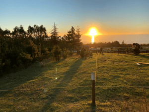 terreno-pichilemu-hermosa-vista-1