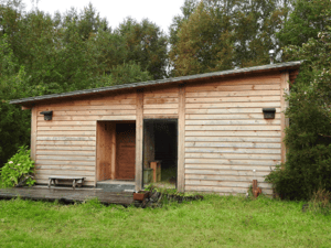 6000m2-con-casa-de-120m2-en-saltos-de-nilahue-1