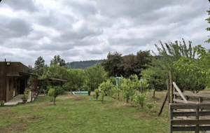 parcela-de-9600mt2-de-terreno-150mt2-construidos-1