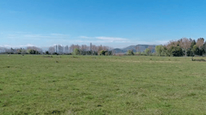 campo-agricola-en-venta,-propiedad-agricola-de--1