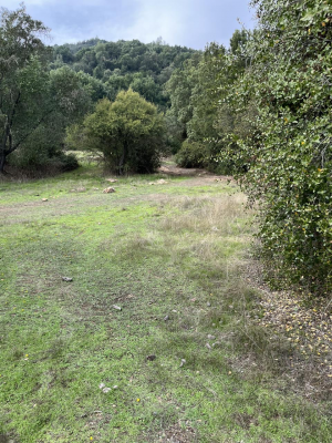 Terreno en Chimbarongo - VENTA HERMOSO TERRENO CON ORILLA DE ESTERO-5 Terreno en Chimbarongo - VENTA HERMOSO TERRENO CON ORILLA DE ESTERO-5
